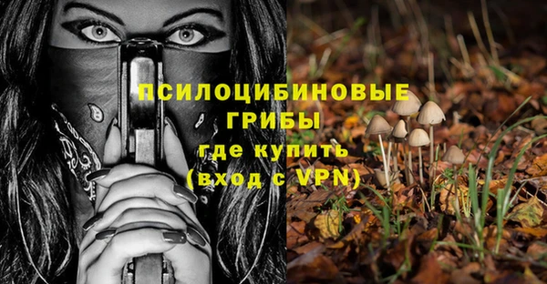 apvp Нея