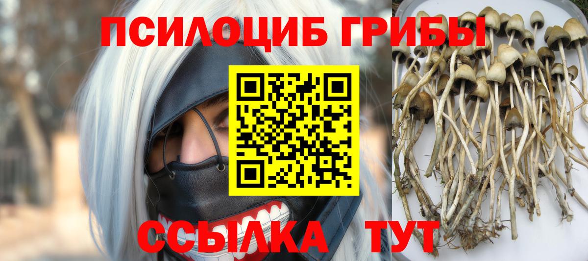 Чусовой  Псилоцибиновые грибы GOLDEN TEACHER  Галлюциногенные грибы MAGIC MUSHROOMS  Вход с VPN 