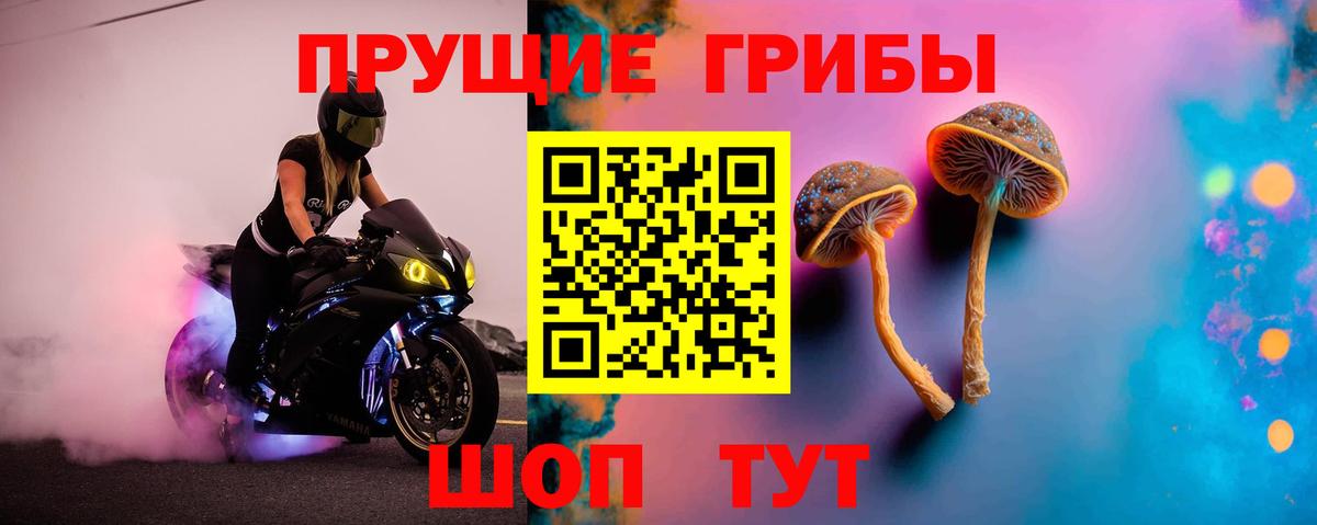 Псилоцибиновые грибы Psilocybine cubensis Чусовой